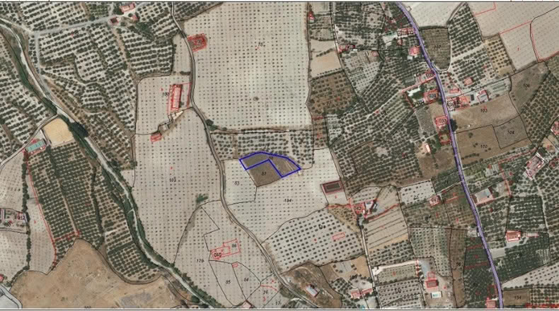 Almeria - Tíjola - 2000m2