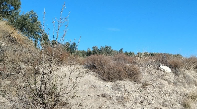 Almeria - Tíjola - 2000m2