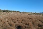 Terreny no urbanitzable en venda a la Camino de la Rambla de Guanila, Tíjola, ref.: TR94580 foto