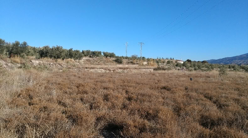 Almeria - Tíjola - 2000m2