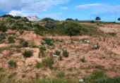 Urban land for sale on Calle Sebastián Casillas "El Panadero", Ayamonte, ref: TR374458 photo