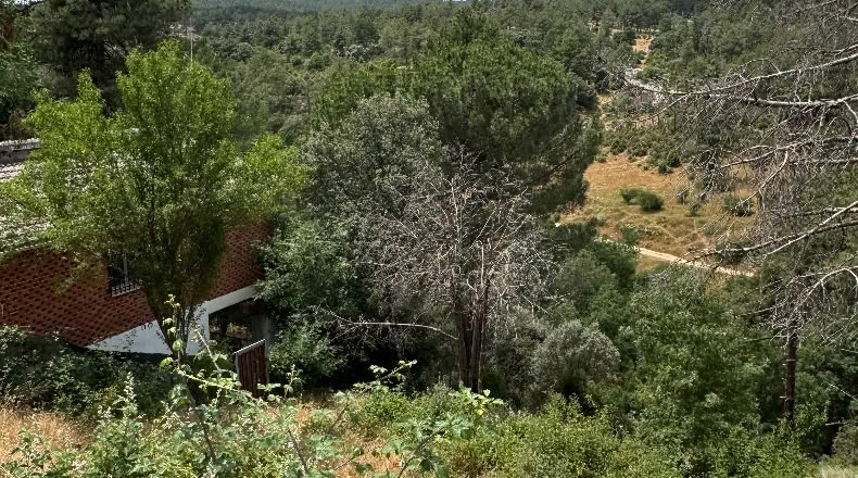 Community of Madrid - Santa María de la Alameda - 1200m2