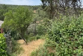 Foto 9