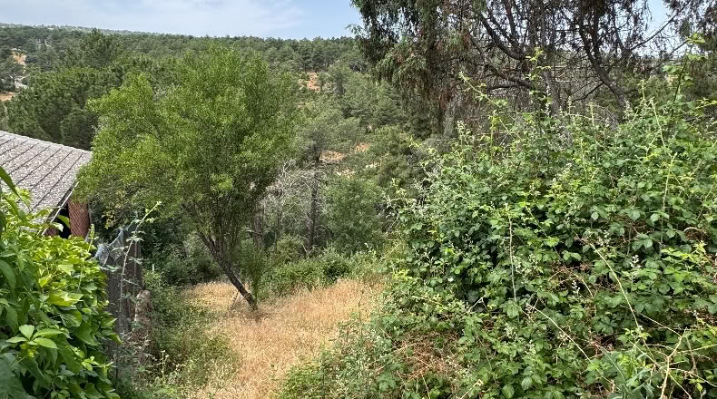 Community of Madrid - Santa María de la Alameda - 1200m2