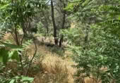 Land suitable for development for sale on Travesía Pino, Valdemaqueda, ref: TR374454 photo