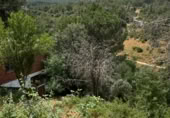 Land suitable for development for sale on Travesía Pino, Valdemaqueda, ref: TR374454 photo