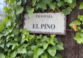 Land suitable for development for sale on Travesía Pino, Valdemaqueda, ref: TR374454 photo