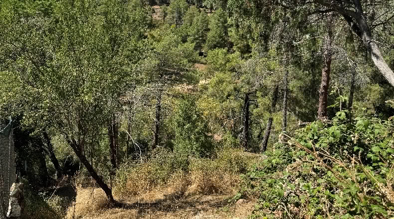 Community of Madrid - Valdemaqueda - 1200m2