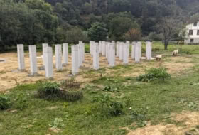 Foto 7
