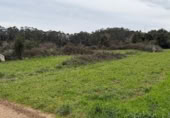 Non-developable land for sale on Barrio monasterio, Escobedo de Camargo, ref: TR374448 photo