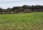 Non-developable land for sale on Barrio monasterio, Escobedo de Camargo, ref: TR374448 photo