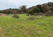 Non-developable land for sale on Barrio monasterio, Escobedo de Camargo, ref: TR374448 photo