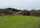 Non-developable land for sale on Barrio monasterio, Escobedo de Camargo, ref: TR374448 photo