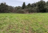 Non-developable land for sale on Barrio monasterio, Escobedo de Camargo, ref: TR374448 photo