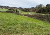 Non-developable land for sale on Barrio monasterio, Escobedo de Camargo, ref: TR374448 photo