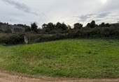 Non-developable land for sale on Barrio monasterio, Escobedo de Camargo, ref: TR374448 photo