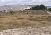 Parcela urbanizable en venta en la Camí dels Molins, Monóvar, ref: TR375078 foto