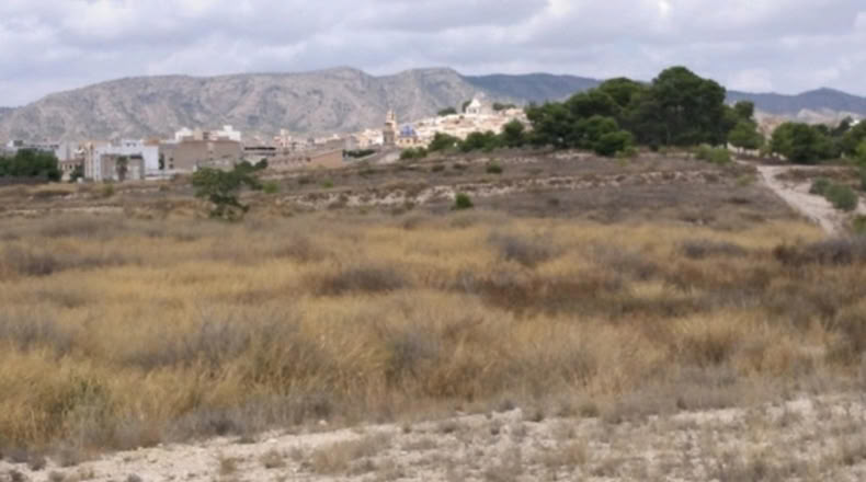Alicante - Monóvar - 10000m2