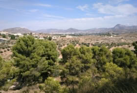 Monòver 10000&nbsp;m² 
