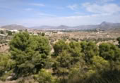 Parcela urbanizable en venta en la Camí dels Molins, Monóvar, ref: TR375078 foto
