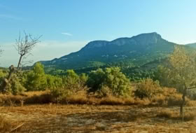 Benissa 16845&nbsp;m² 