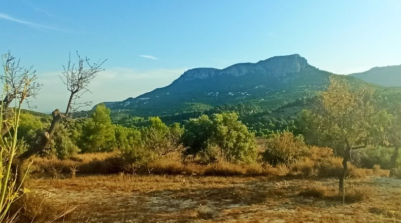Alicante - Benissa - 16845m2