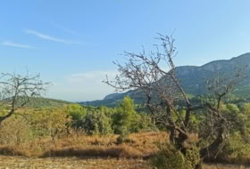 Benissa 16845&nbsp;m² 