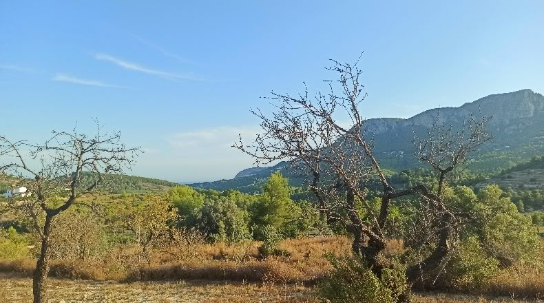 Alicante - Benissa - 16845m2