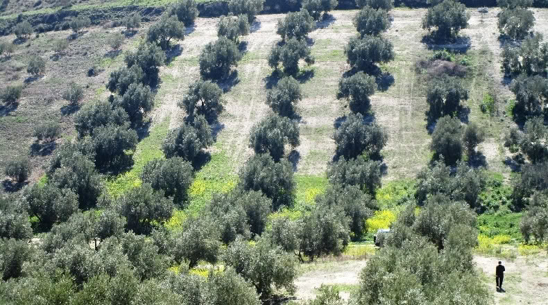 Jaén - Ходар - 8795m2