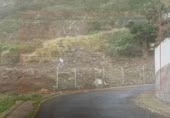 Sòl urbà en venda a la Calle Laurisilva 64, El Sauzal, ref.: TR375476 foto
