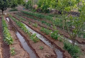 Foto 7
