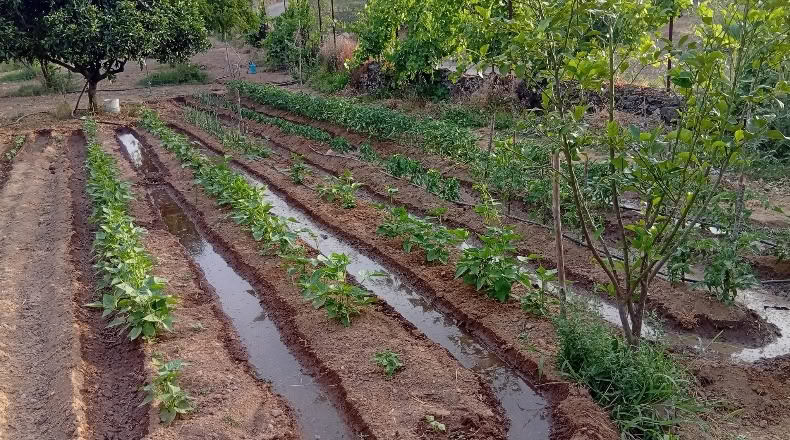 Cáceres - Villanueva de la Sierra - 3640m2