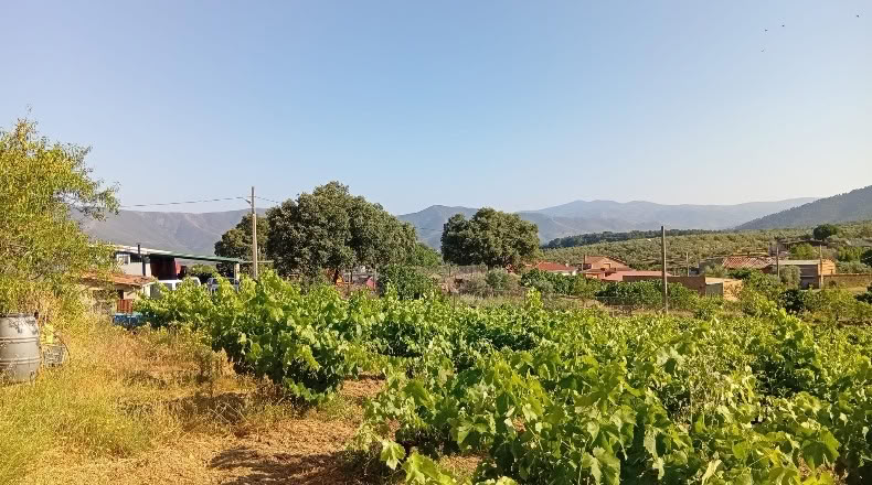 Cáceres - Villanueva de la Sierra - 3640m2
