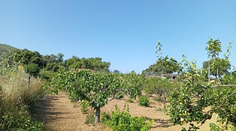 Cáceres - Villanueva de la Sierra - 3640m2