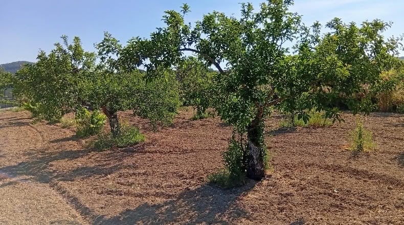 Cáceres - Villanueva de la Sierra - 3640m2