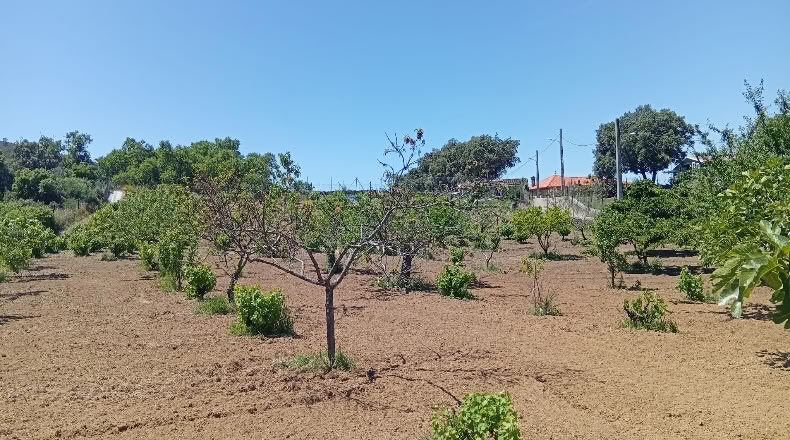 Cáceres - Villanueva de la Sierra - 3640m2