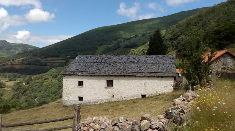 Asturias - Genestoso - 180000m2