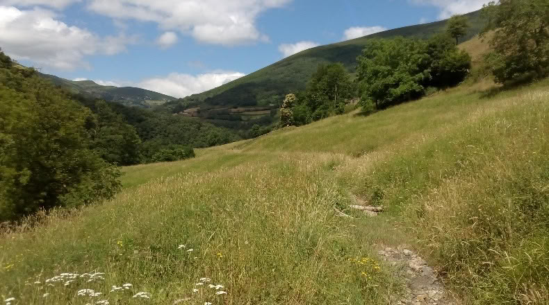 Asturias - Genestoso - 180000m2