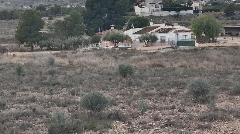 Alicante - Monóvar - 10000m2