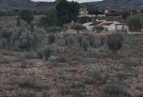 Monòver 10000&nbsp;m² 