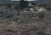 Parcela urbanizable en venta en la Camí dels Molins, Monóvar, ref: TR375078 foto