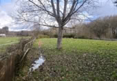 Land with storage building for rent on Lg Bosende (Muxa San Fiz) Monte, Lugo, ref: TR376625 photo
