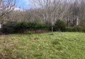 Land with storage building for rent on Lg Bosende (Muxa San Fiz) Monte, Lugo, ref: TR376625 photo