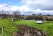 Terreno no urbanizable en alquiler en la Ponte de Reixa, Lugo, ref: TR376626 foto