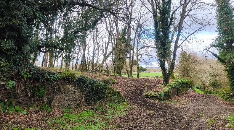 Lugo - Lugo - 3671m2