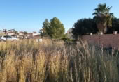 Sòl urbà en venda a la Carrer de Panamà, Mont-roig del Camp, ref.: TR376376 foto