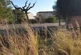 Mont-roig del Camp 533&nbsp;m²