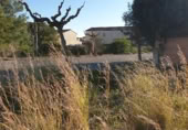 Sòl urbà en venda a la Carrer de Panamà, Mont-roig del Camp, ref.: TR376376 foto