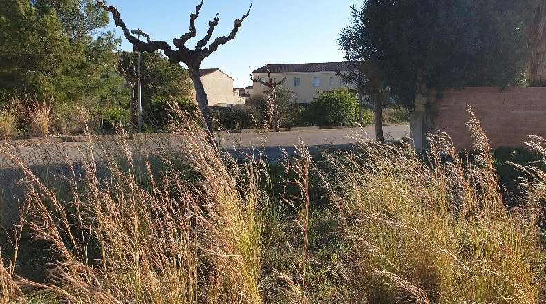 Tarragona - Mont-roig del Camp - 547m2
