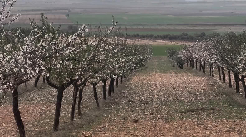 Toledo - Villacañas - 76000m2